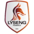 利森格logo