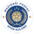  马西达吉logo