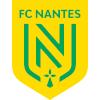  南特logo