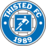 齐斯泰兹logo
